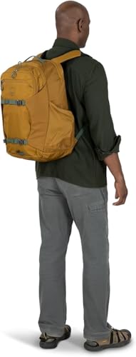 Osprey Proxima 30L Laptop Backpack – Black