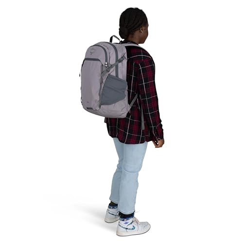 Osprey Axis Laptop Backpack