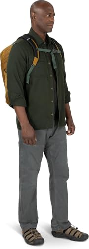Osprey Proxima 30L Laptop Backpack – Black