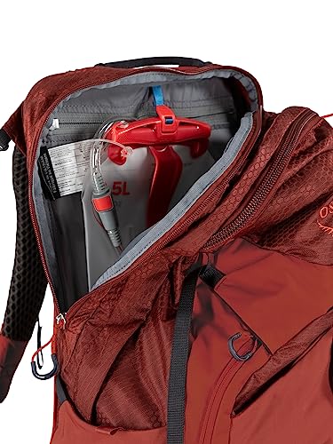 Osprey Manta 24L Hiking Backpack, Orange