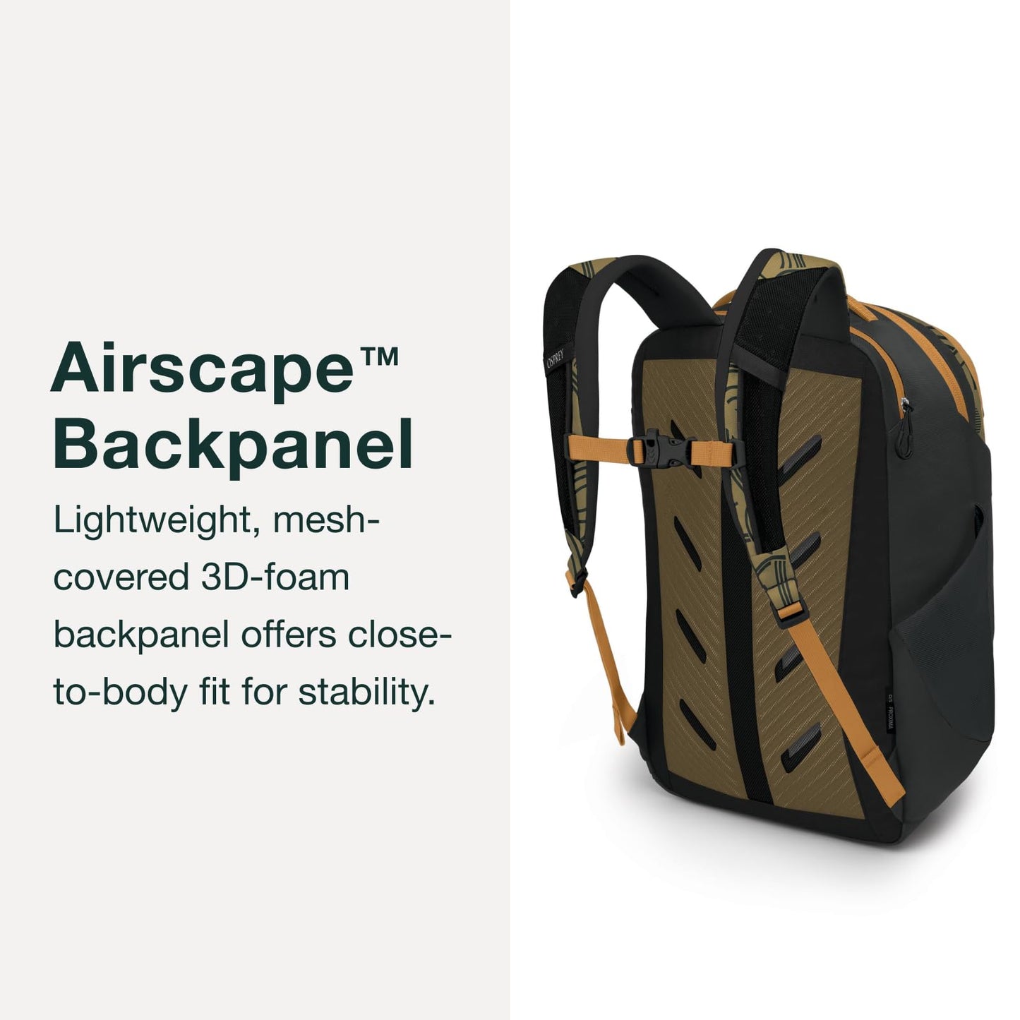 Osprey Proxima 30L Laptop Backpack – Black