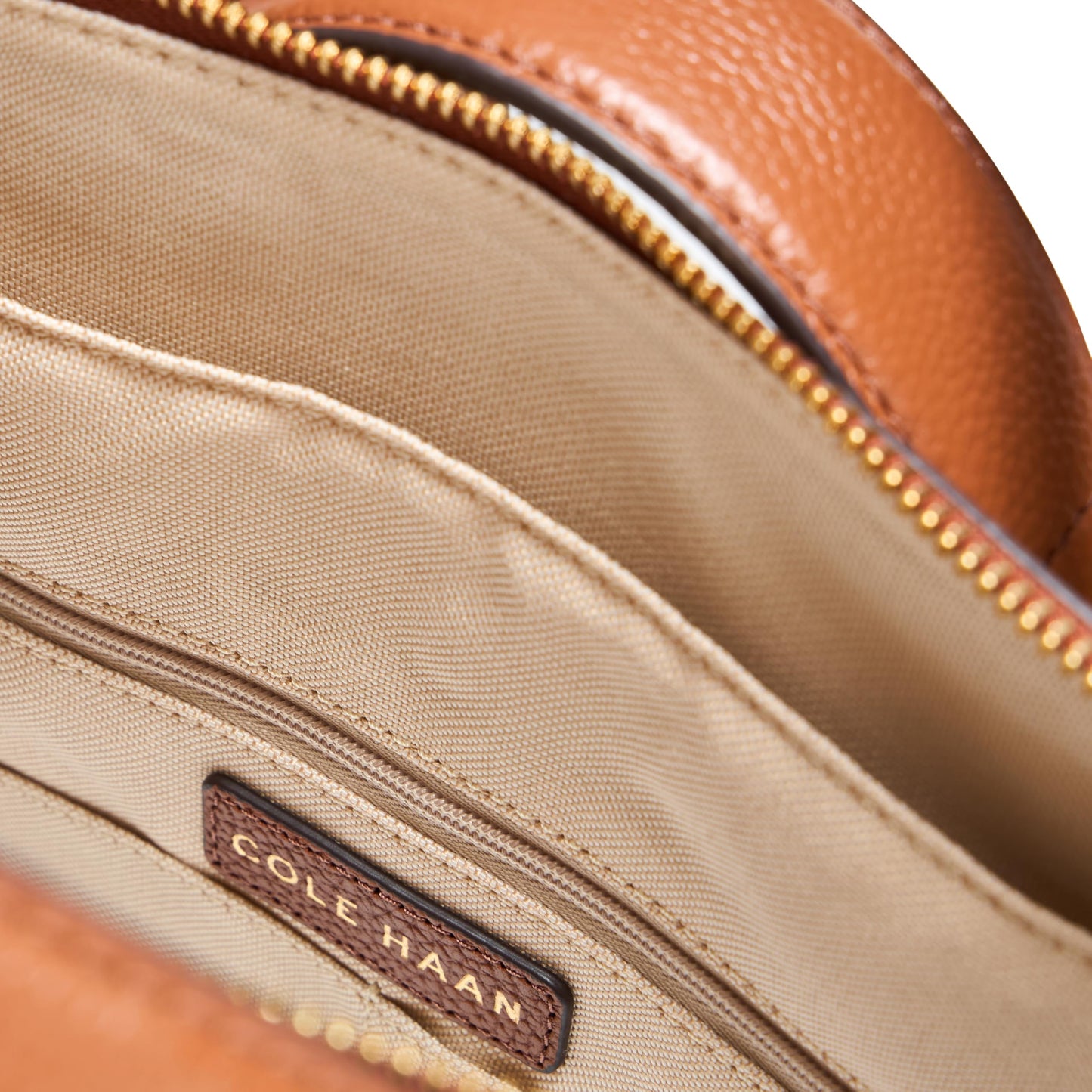 Cole Haan Convertible Backpack, Dark Cuoio/Ivory/Biscuit/Mahogany